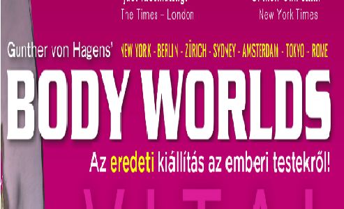 Body Worlds – Az eredeti kiállítás az emberi testekről